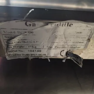 Plancha profesional de hierro, Austral