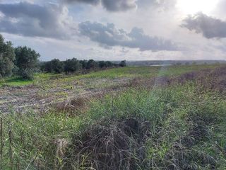 Solar en venta en Almonte en Almonte