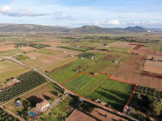 Solar en venta en Muro