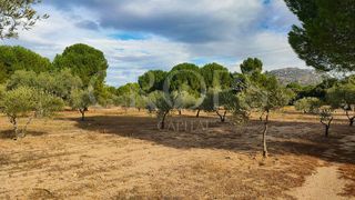 Solar en venta en Brunete