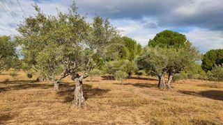 Solar en venta en Brunete
