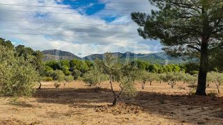 Solar en venta en Brunete