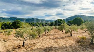 Solar en venta en Brunete
