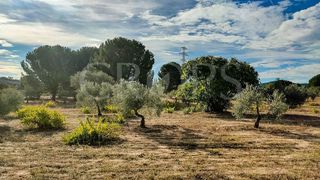 Solar en venta en Brunete