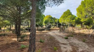 Solar en venta en Brunete