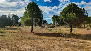 Solar en venta en Brunete