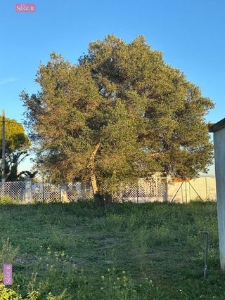 Solar en venta en Las Lagunas - Campano en Chiclana de la Frontera