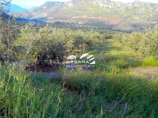 Terreno en venta en Priego de Córdoba