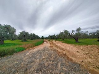 Terreno en venta en Bollullos de la Mitación