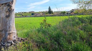 Terreno en venta en Ciudad Rodrigo