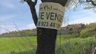 Terreno en venta en Ciudad Rodrigo