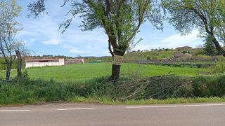 Terreno en venta en Ciudad Rodrigo