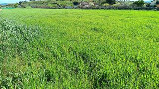 Terreno en venta en Ciudad Rodrigo