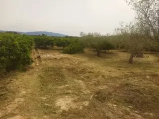 Podador y desbrozador