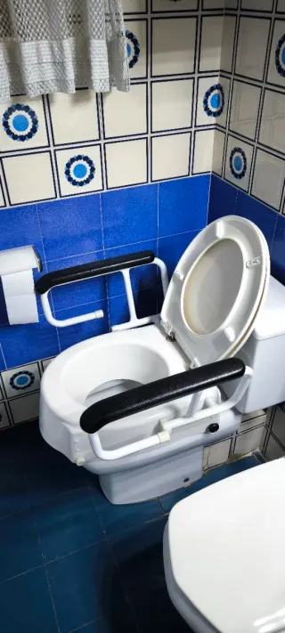 Taza de váter adaptada con reposabrazos