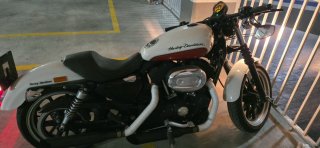 Harley Davidson 883 Superlow Blanca