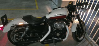 Harley Davidson 883 Superlow Blanca