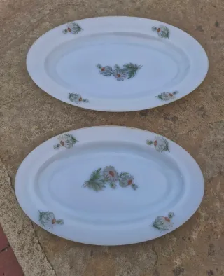 Conjunto 2 Fuentes Arcopal Flores