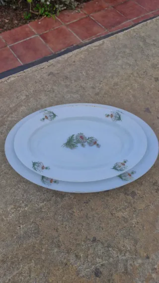 Conjunto 2 Fuentes Arcopal Flores