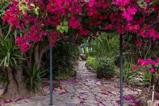 Piso en alquiler en Sta. Catalina - El Jonquet en Palma de Mallorca