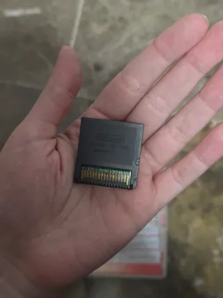 Gioco Nintendo DS per praticare l'inglese