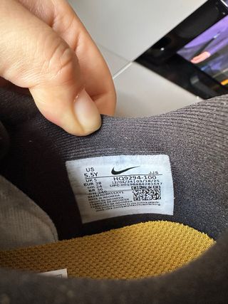 Nike Dunk Low SE (GS)