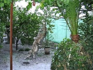 Chalet en venta en Moratalla