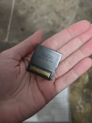 Animal Crossing: Wild World per Nintendo DS