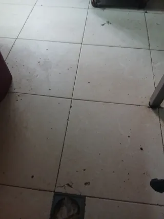 Pintamos pisos fontanería electricidad