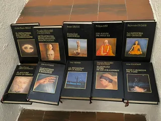 Pack de 10 libros colección Amigos Do Libro