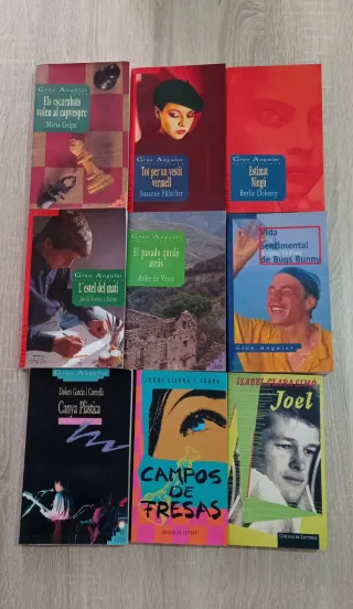 Lote libros juveniles