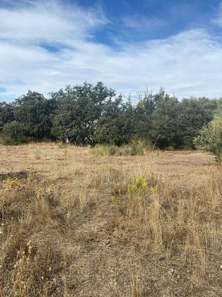 Terreno en venta en Alfacar