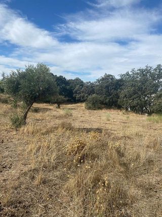 Terreno en venta en Alfacar