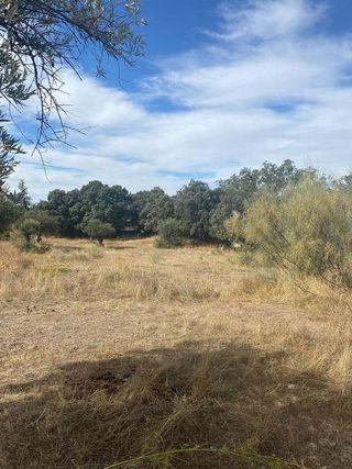 Terreno en venta en Alfacar