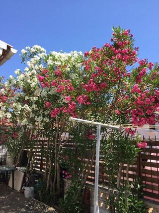 Chalet en venta en Santa Margarida en Roses