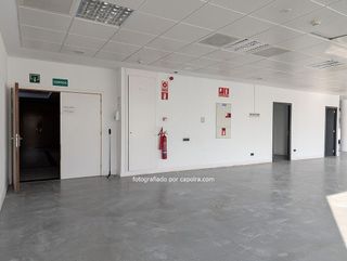 Oficina en alquiler en Bufalà en Badalona