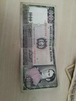 Lote Billetes Bolivianos Colección