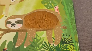 ANIMALES DE LA SELVA ("MIRA Y TOCA")