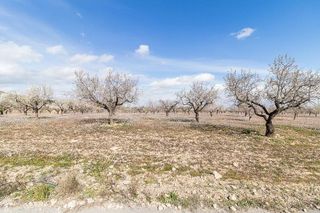 Casa en venta en Mula