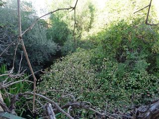 Casa adosada en venta en Berja