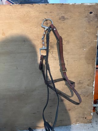 Cabezada de caballo con filete