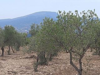 Solar en venta en Onil