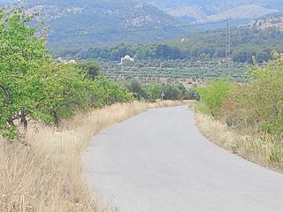 Solar en venta en Onil