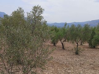 Solar en venta en Onil