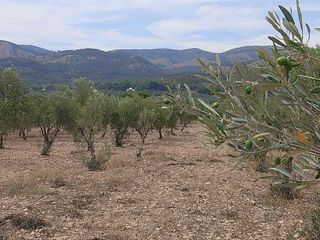 Solar en venta en Onil