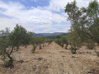 Solar en venta en Onil