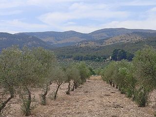 Solar en venta en Onil