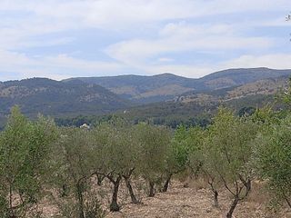 Solar en venta en Onil