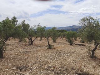 Solar en venta en Onil