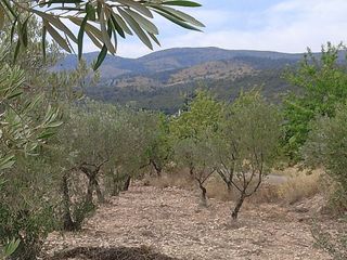 Solar en venta en Onil